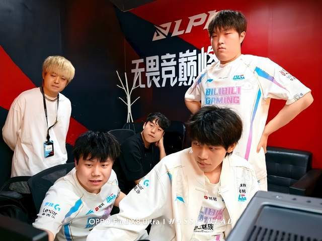 这些词汇指 这些词汇指